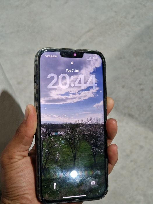 iPhone 13 Pro Max