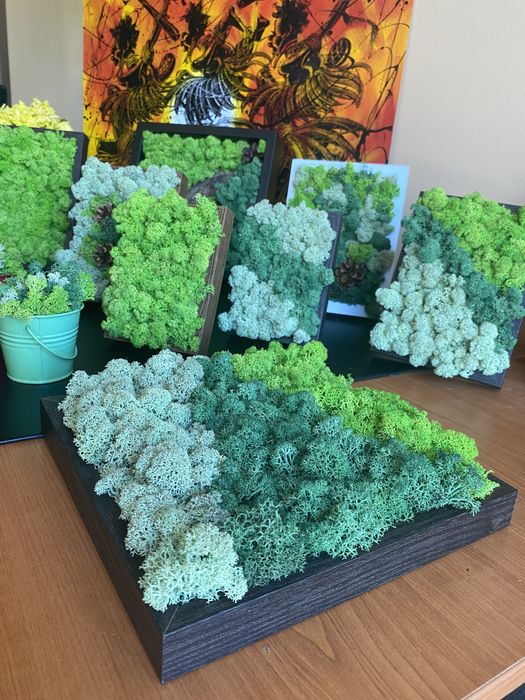 Жива картина от скандинавски мъх, три цвята “Зелен релакс”