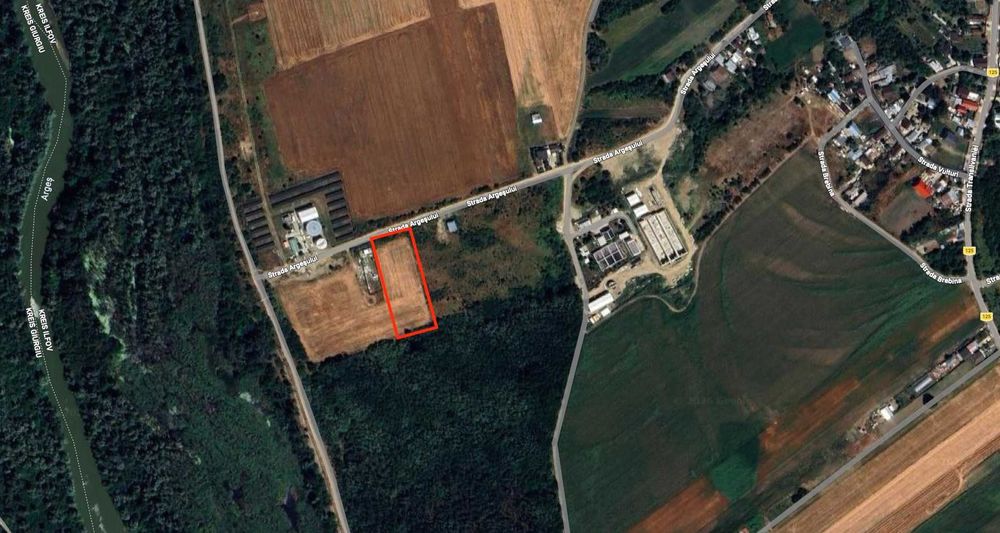 Teren Teghes Domnesti 5696mp