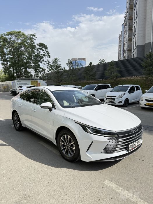 BYD CHAZOR 2024 55km