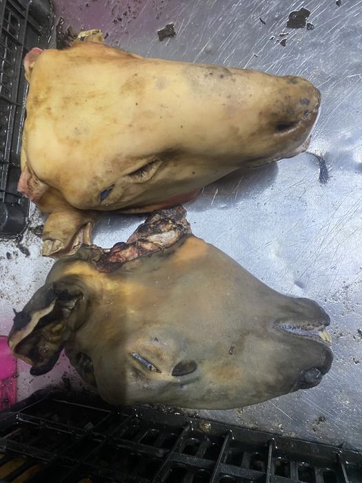 (Айтей-Каскелен) Бойня 54321