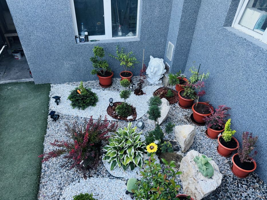 Casă recent renovată în Codlea