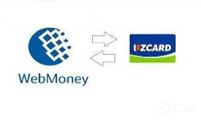 Профессионал маслахатлар WMZ, Консультация по Вмз
