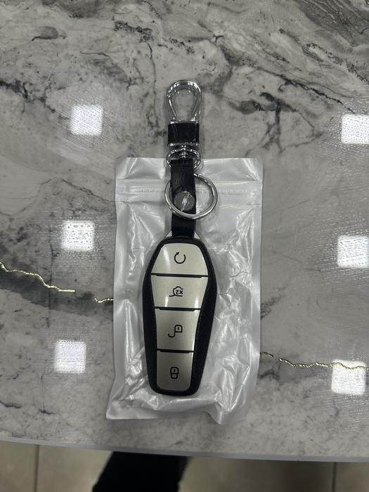 Чехол для пулта byd