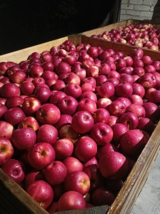 Mere și pere de vânzare