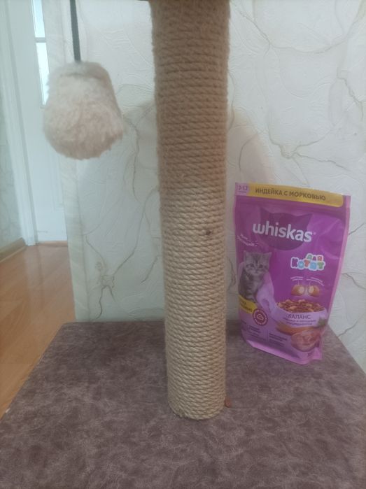 Продам для котят, кошки