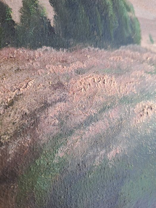 tablou vechi pictura pe panza 80/61 cm semnat w segeberg