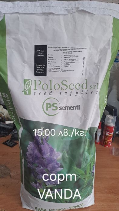 Люцерна семе.Семена люцерна