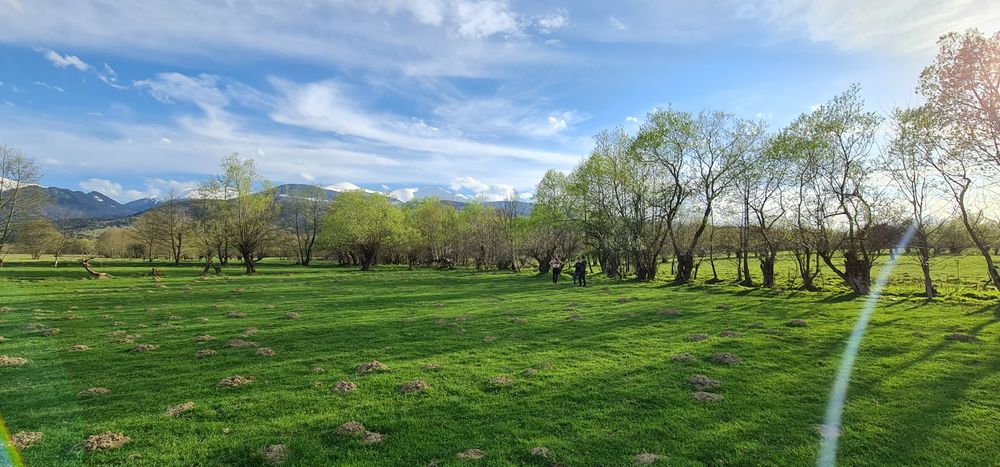 Teren superb la munte, suprafata 3000m/14euro mp