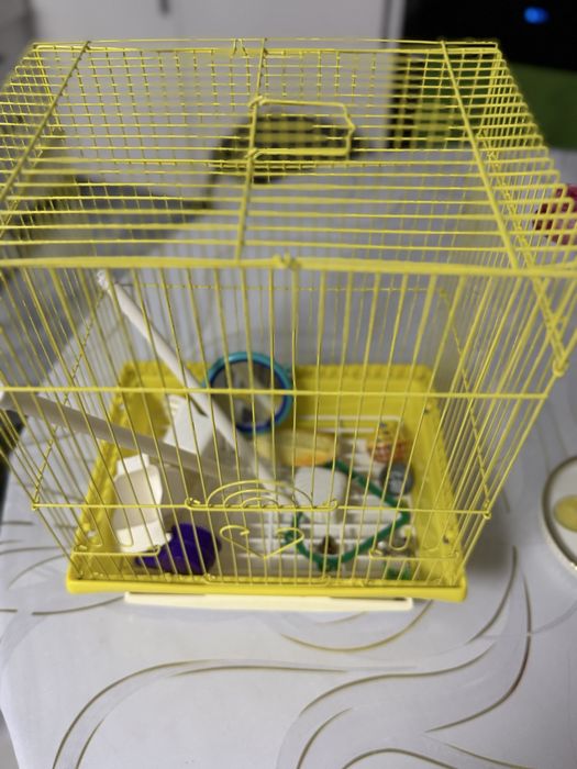 Клетка для попугая