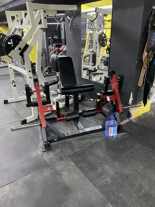 Hoist technogym hammer streange impulse vasil gym