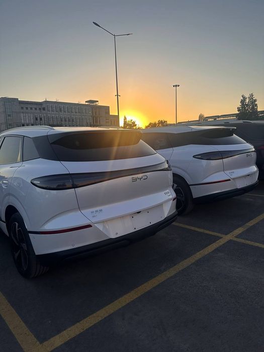 Other Sealion 06 2025 — 3