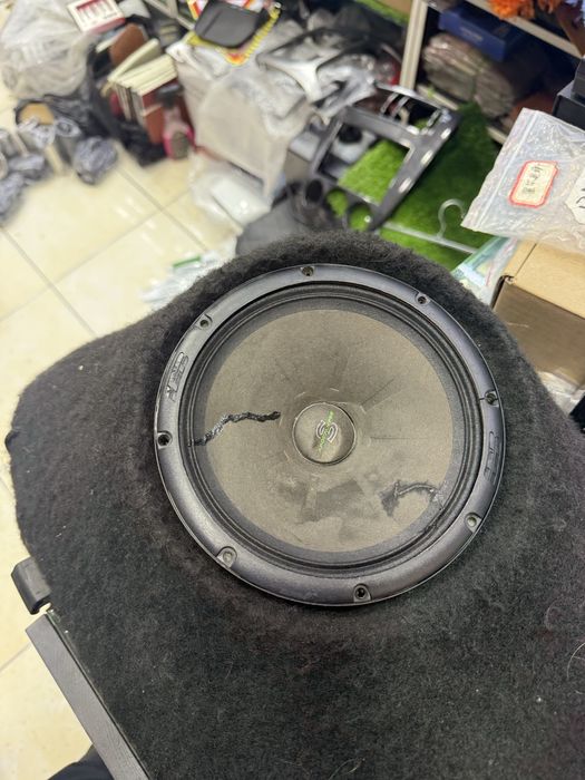 Kalonka 16sm silvester