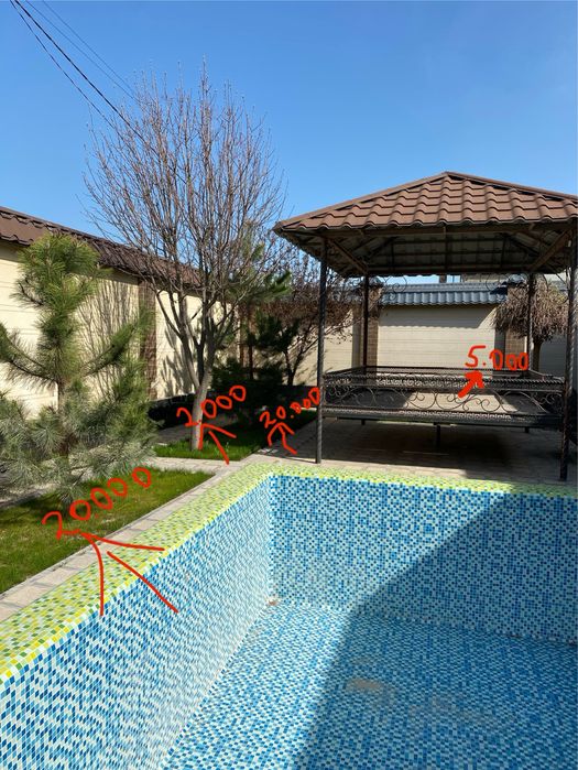 Елки и Деревья