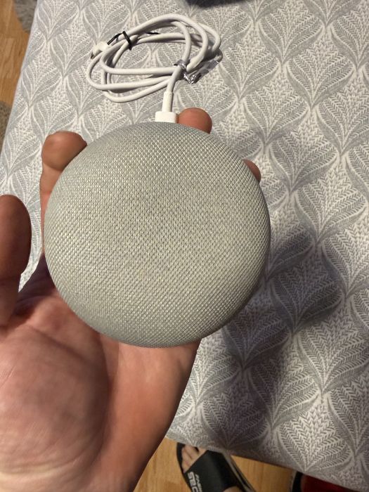 Google home ,fara cutie