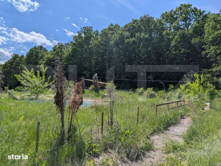 Teren intravilan cu Panorama Superba Aatre Padure – Hulubesti, Buto