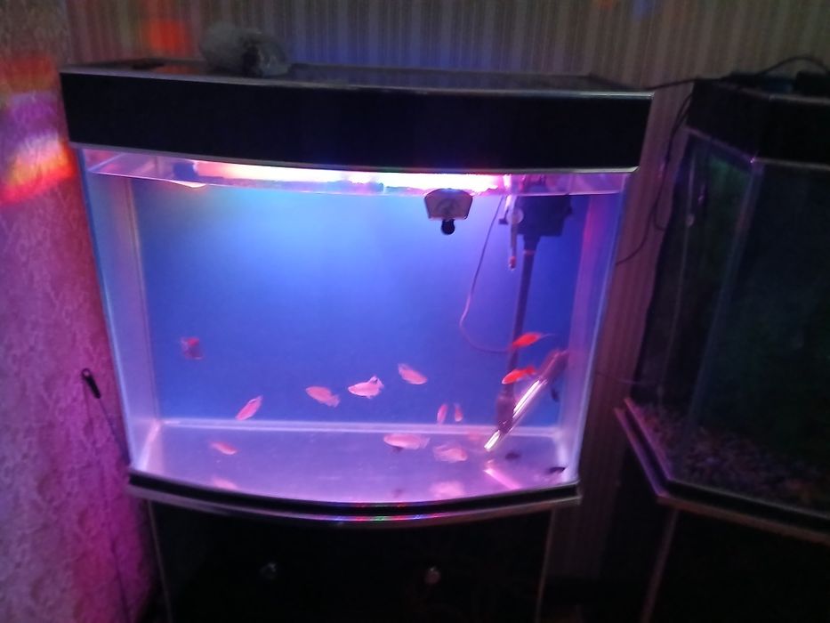 Аквариум сотилади