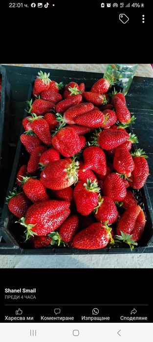 Предлагам ягоди ималини эа всеки земеделец.