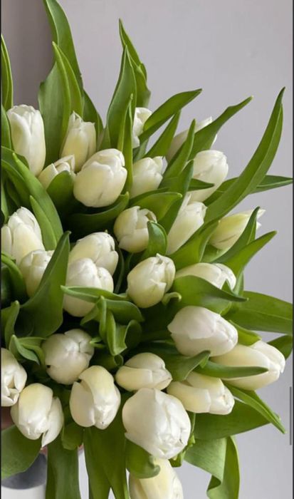 Тюльпаны в розницу по 400тг