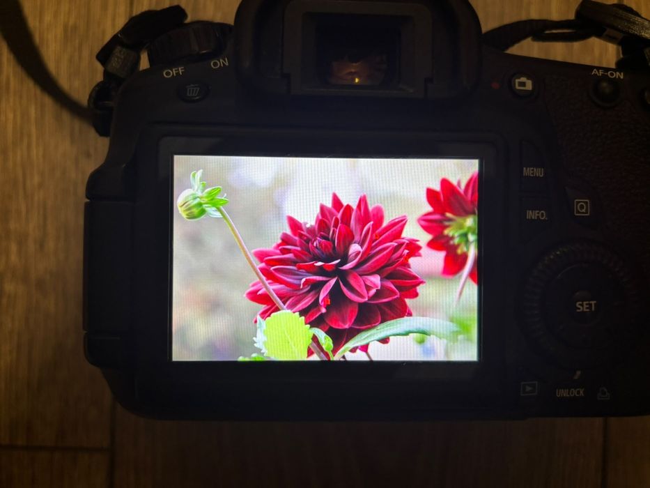 Aparat Foto Canon EOS 60D