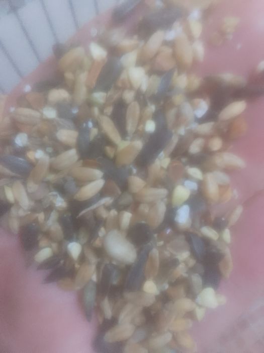 ОТХОДЫ Полова россыпью корма отруби