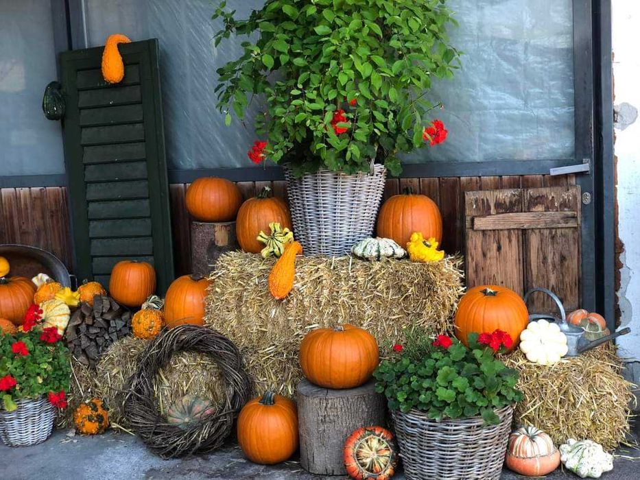 Бали слама за празници декорации, фотосесии