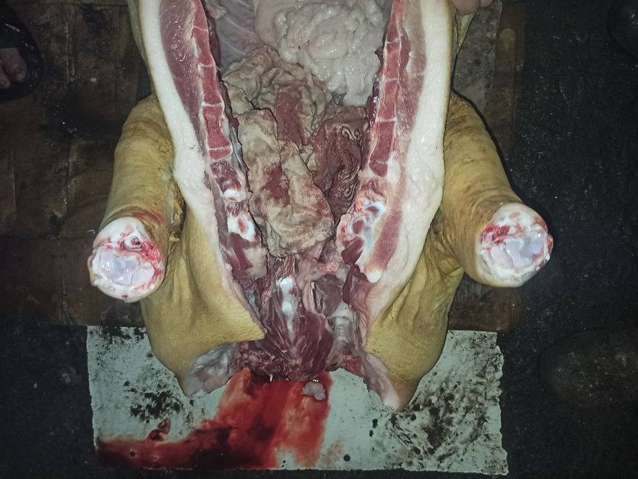 Продам мясо свинина