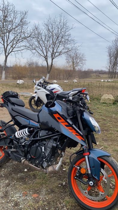 ktm duke  2024 luna 10