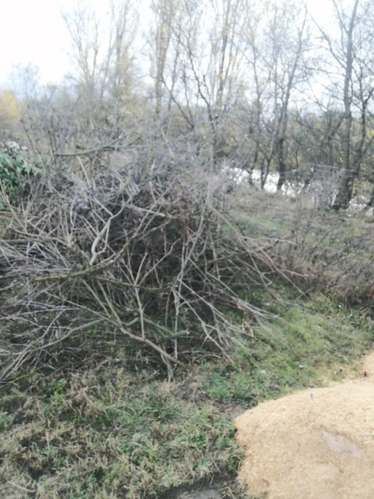 Preluam deșeuri vegetale