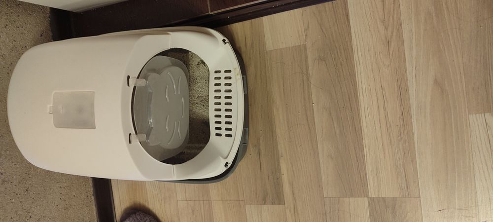 Кошка в хорошие руки