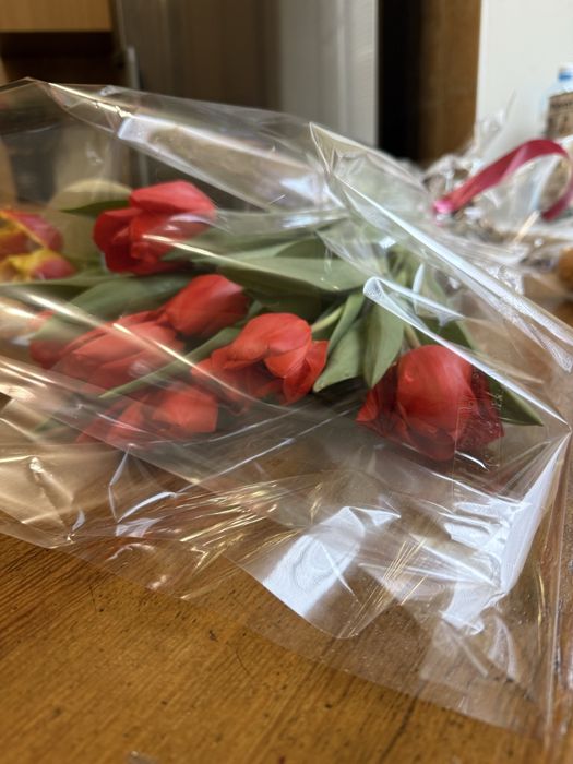 Продам цветы свежые