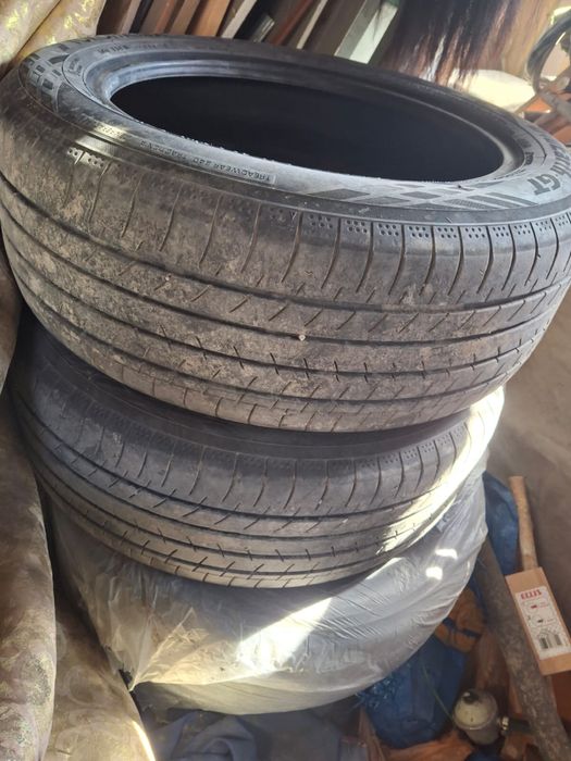 Шина 2024 хороший торг есть