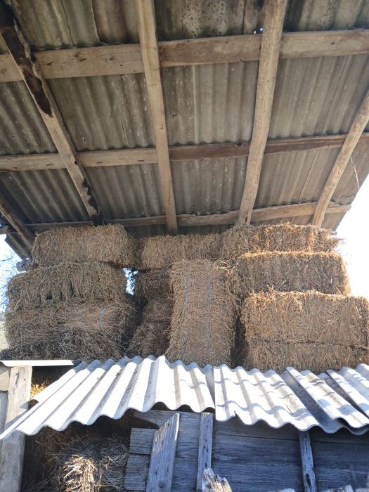 Vand baloti de lucerna