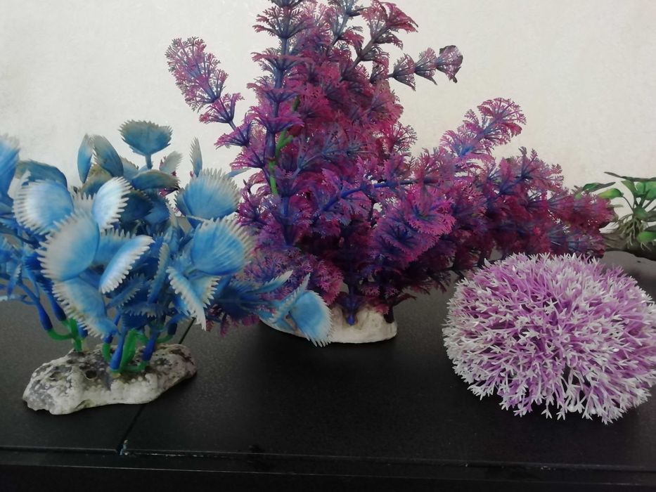 Продам аквариум 470 л.