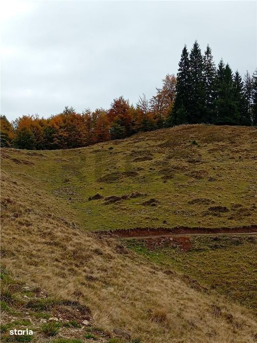 Teren extravilan la Cresuia, Stana de Vale
