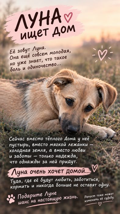 Отдам щенков , обработаны