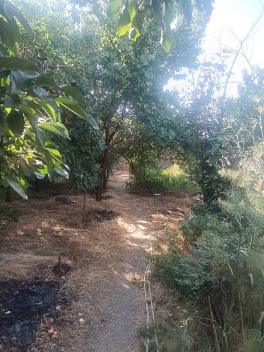 Продается земля 4.5 сот