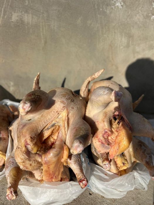 мясо индеек . индюк еті