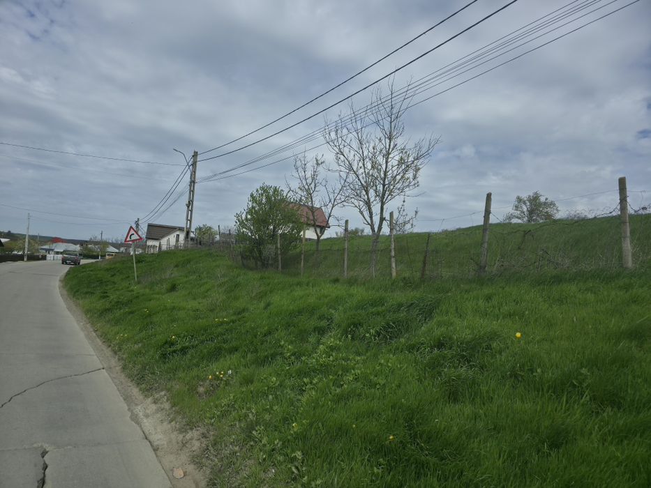 Teren de vânzare Bogonos Iași