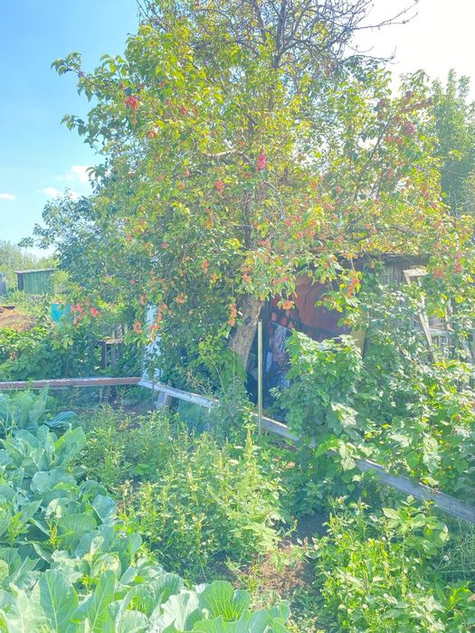 Дача на федоровке