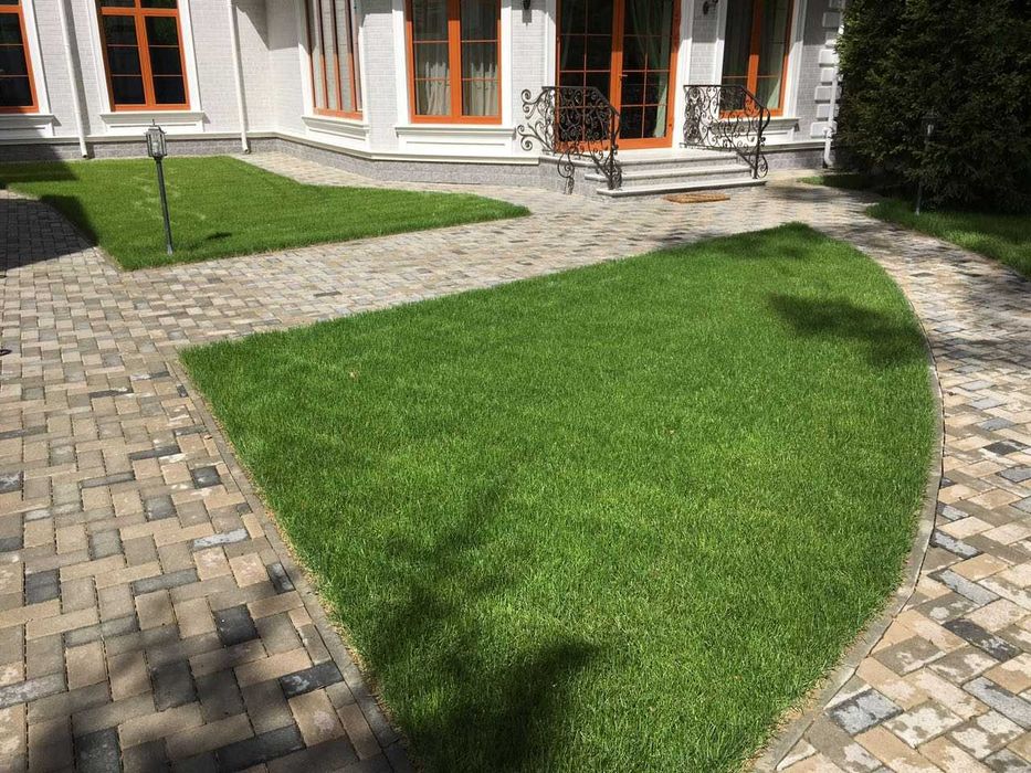 Газон рулонный посевной