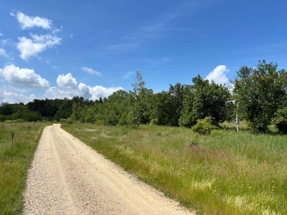 Teren intravilan