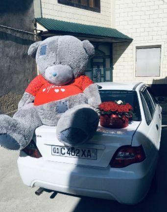 Teddi Teddy orginal 100%