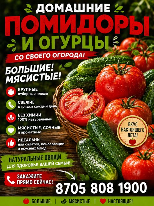 Продам домашние помидоры