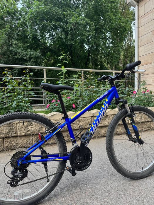 Велосипед Schwinn