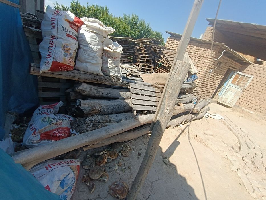 Tosin terek baqvat