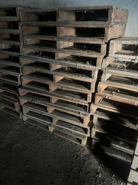 Продаются поддоны по 130 000 сум