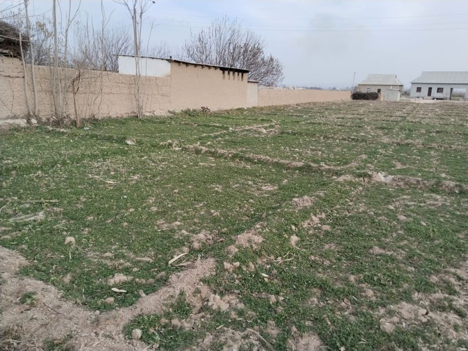 Ер сотилади сурхон 5 кумкишлок махалласида