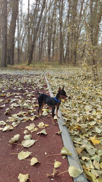 Молодой парень ищет подругу!