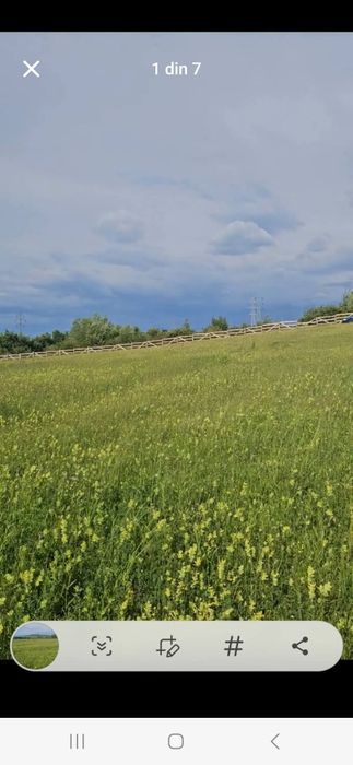 Teren in limita intravilanului Hunedoara
